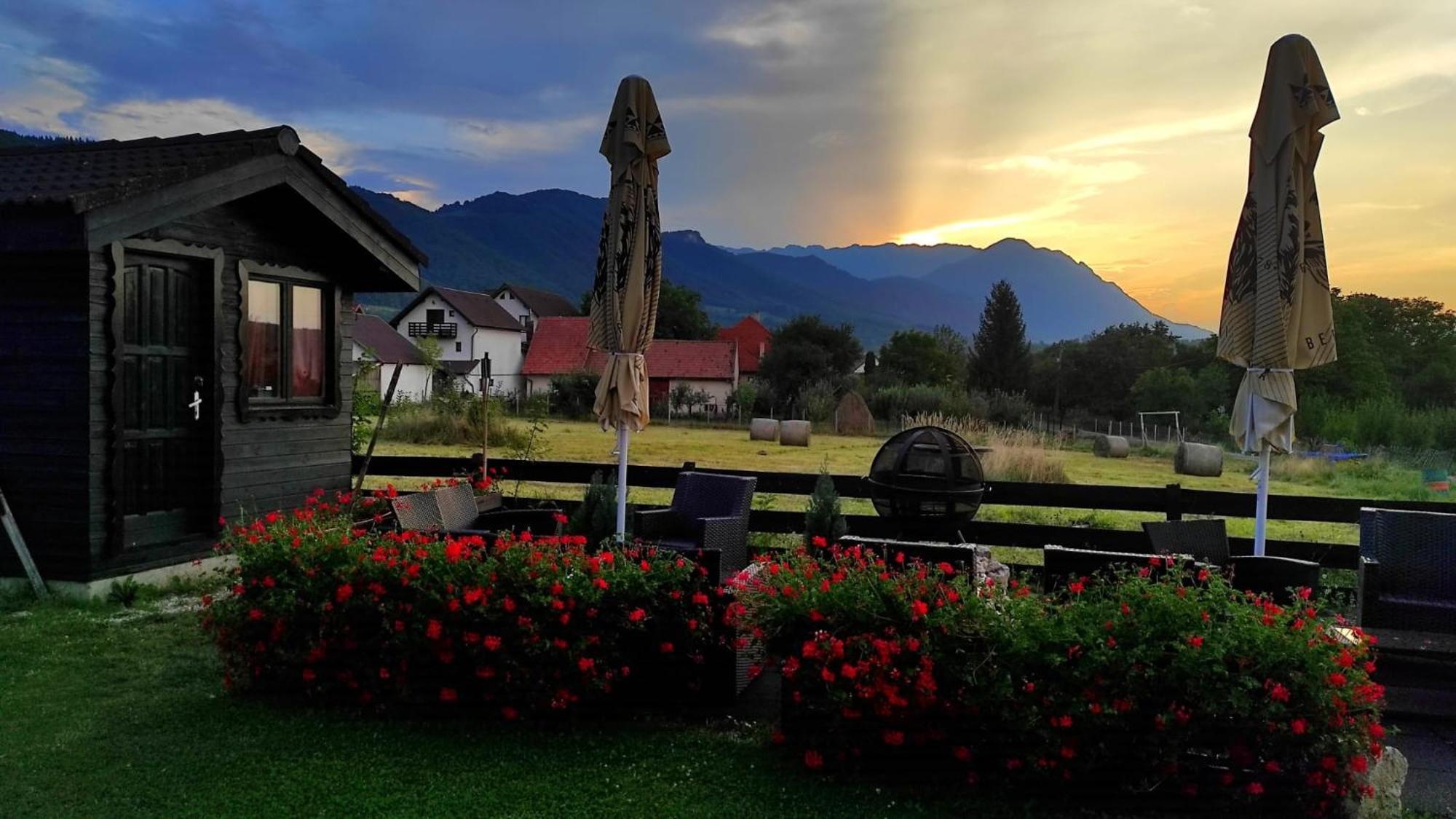 Villa Siana Бран Екстериор снимка